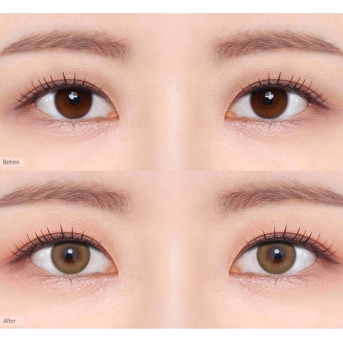 COLORED CONTACT LENSES OLENS Ending Brown ( 1 Day )