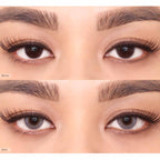 COLORED CONTACT LENSES OLENS Russian Smoky Grey ( 1 Day )