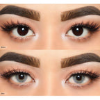 COLORED CONTACT LENSES OLENS Russian Velvet Gray ( 1 Month )