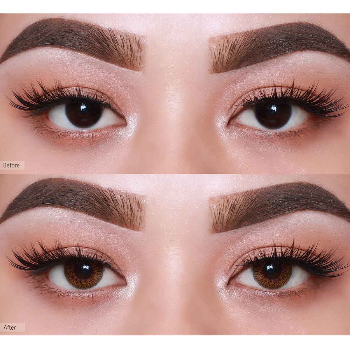 COLORED CONTACT LENSES OLENS Secriss Coral Brown ( 1 Day )