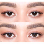 COLORED CONTACT LENSES OLENS Viviring Brown ( 1 Day )