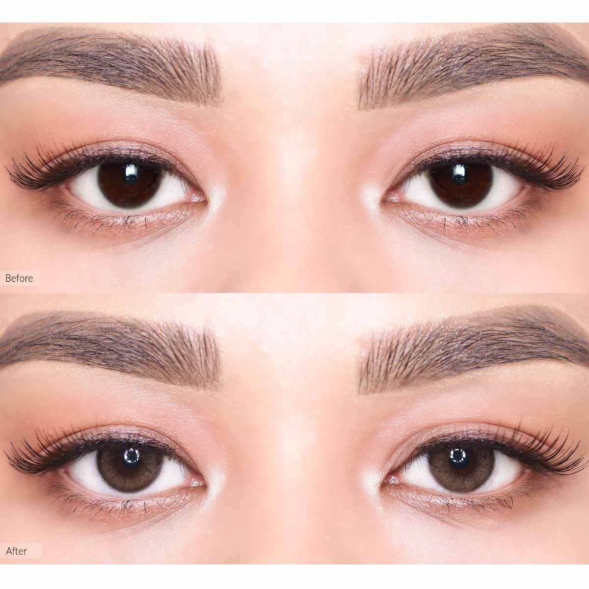 COLORED CONTACT LENSES OLENS Viviring Brown ( 1 Day )