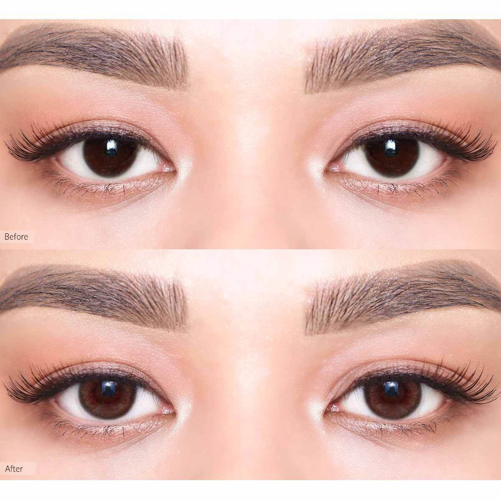 COLORED CONTACT LENSES OLENS Viviring Choco ( 1 Day )