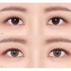 Ending Brown ( 1 Day )