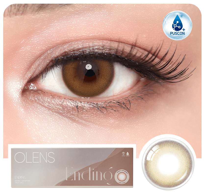 Ending Brown ( 1 Day ) Main image