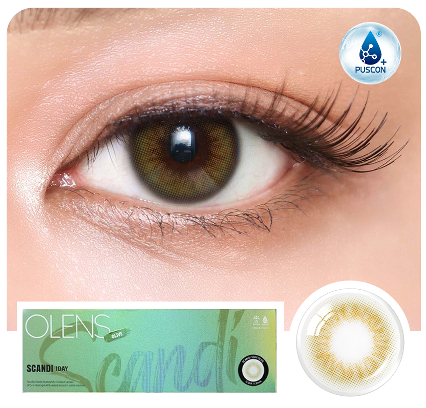 Scandi Olive ( 1 Day ) Main image