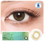 Scandi Olive ( 1 Day )