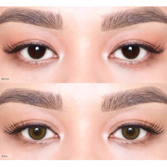 Viviring Olive ( 1 Day )