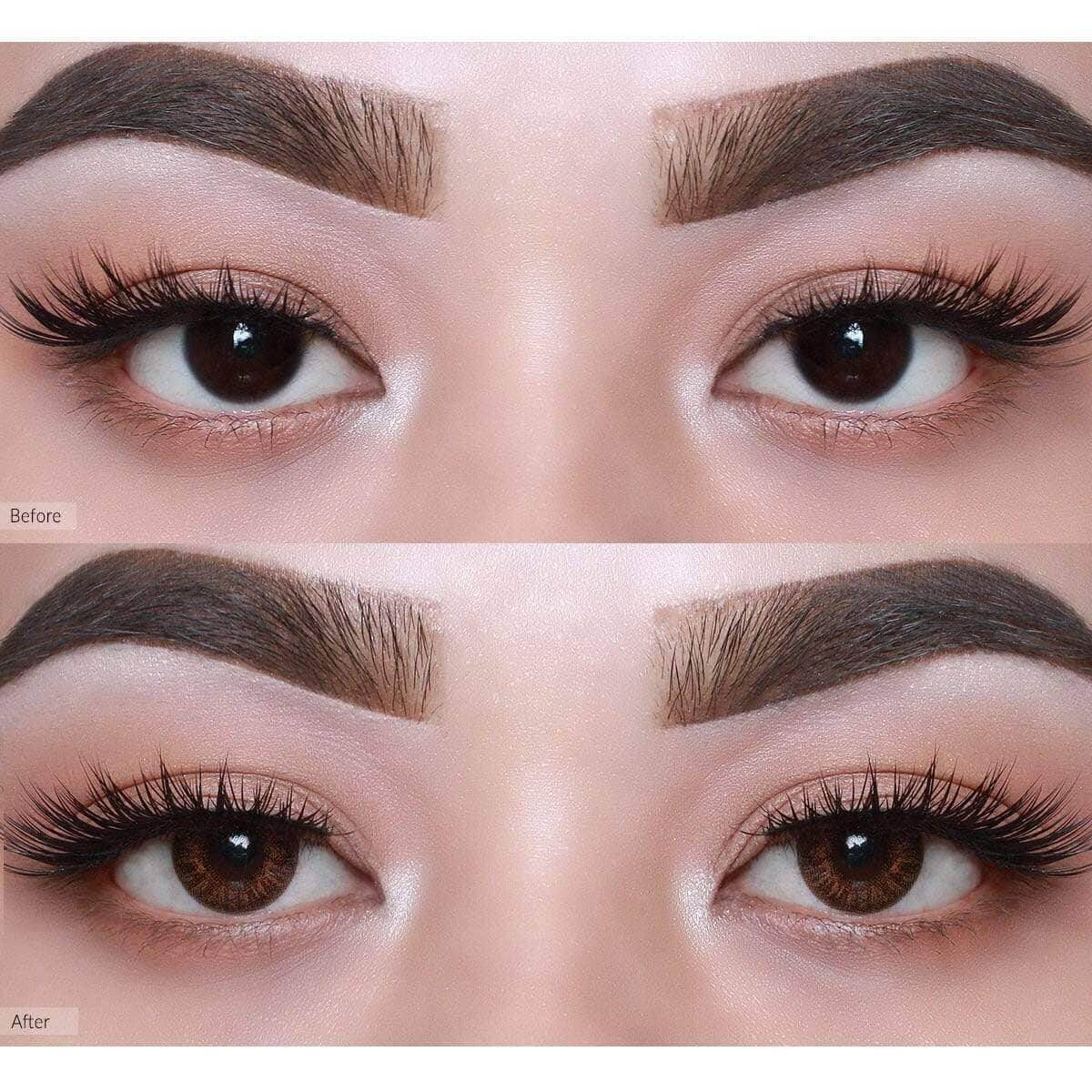 Secriss Natural Brown ( 1 Day ) | o-lens.co.in.