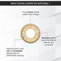 Secriss Natural Brown ( 1 Day ) | o-lens.co.in.